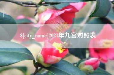 河池2021年九宫对照表
