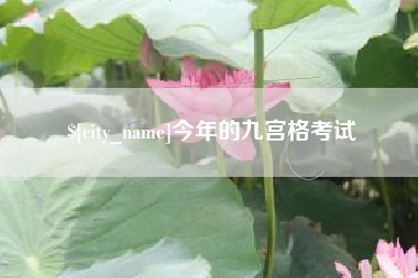 河池今年的九宫格考试