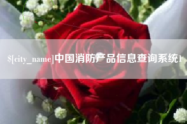 河池中国消防产品信息查询系统1