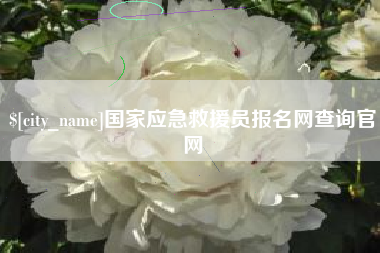 河池国家应急救援员报名网查询官网