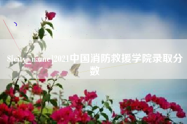 河池2021中国消防救援学院录取分数