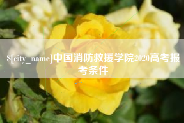 河池中国消防救援学院2020高考报考条件