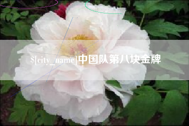 河池中国队第八块金牌