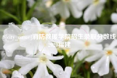 河池消防救援学院招生录取分数线2020福建