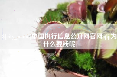 河池中国执行信息公开网官网app为什么要钱呢