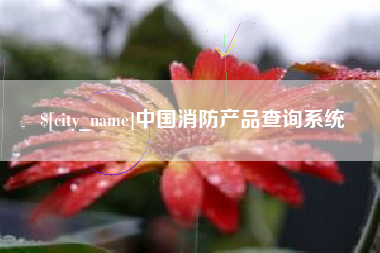 河池中国消防产品查询系统