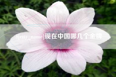 河池现在中国哪几个金牌