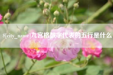 河池九宫格数字代表的五行是什么