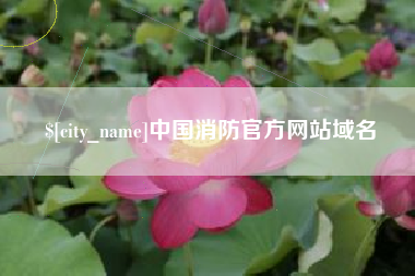 河池中国消防官方网站域名