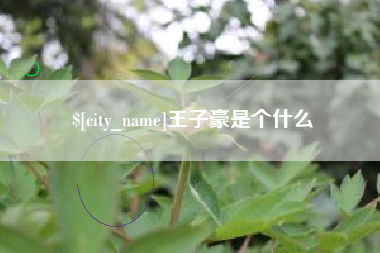 河池王子豪是个什么