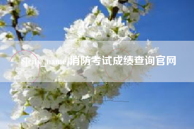 河池消防考试成绩查询官网