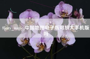河池中国地图电子版可放大手机版吗