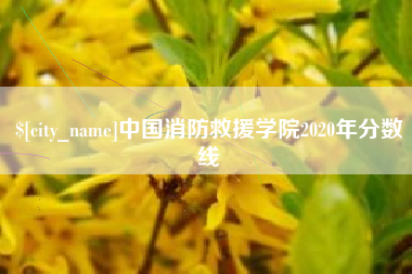 河池中国消防救援学院2020年分数线