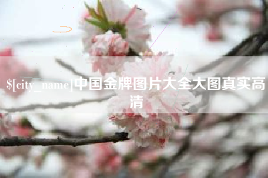 河池中国金牌图片大全大图真实高清