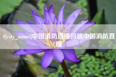 河池中国消防直播回放中国消防直播