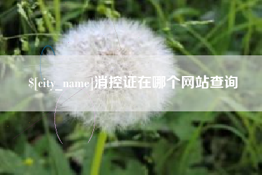 河池消控证在哪个网站查询