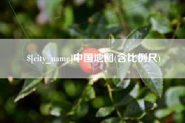 河池中国地图(含比例尺)