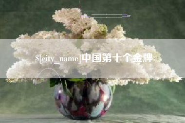 河池中国第十个金牌