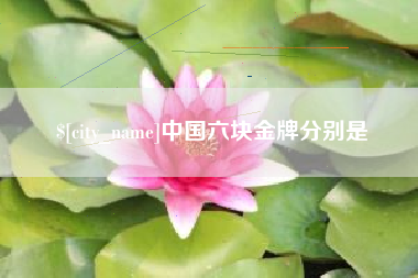 河池中国六块金牌分别是