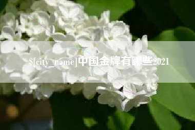 河池中国金牌有哪些2021