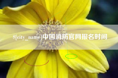 河池中国消防官网报名时间