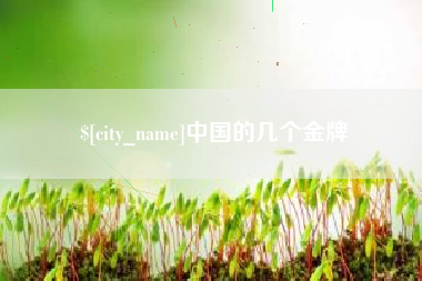 河池中国的几个金牌