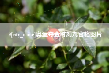河池奥运夺金时刻九宫格图片