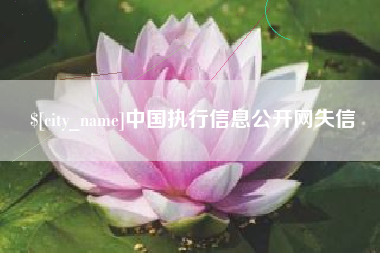 河池中国执行信息公开网失信