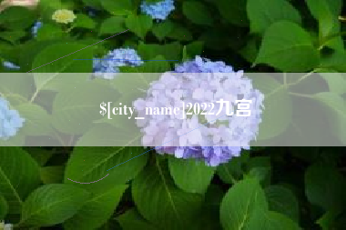 河池2022九宫
