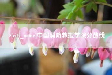河池中国消防救援学院分数线