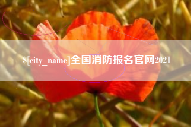 河池全国消防报名官网2021
