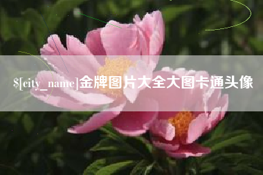 河池金牌图片大全大图卡通头像