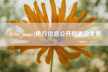 河池执行信息公开网查询免费